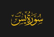 Summary of Surah Yaseen: Key Themes, Lessons, and Divine Guidance
