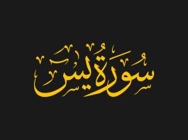 Summary of Surah Yaseen: Key Themes, Lessons, and Divine Guidance